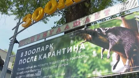 Билеты в зоопарк калининград