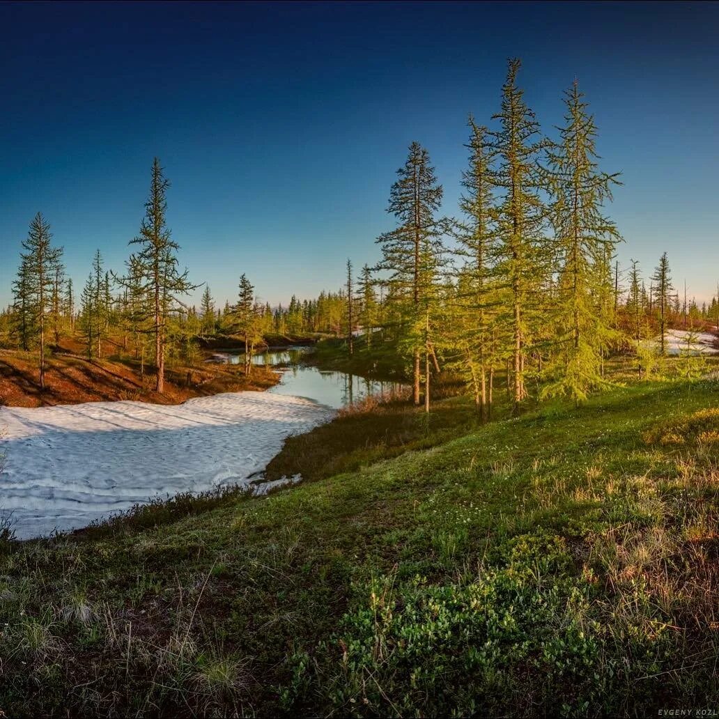 таймыр норильск. полуостров таймыр природа. тундра осенью норильска. осень тундра норильск талнах. полуостров таймыр норильск.