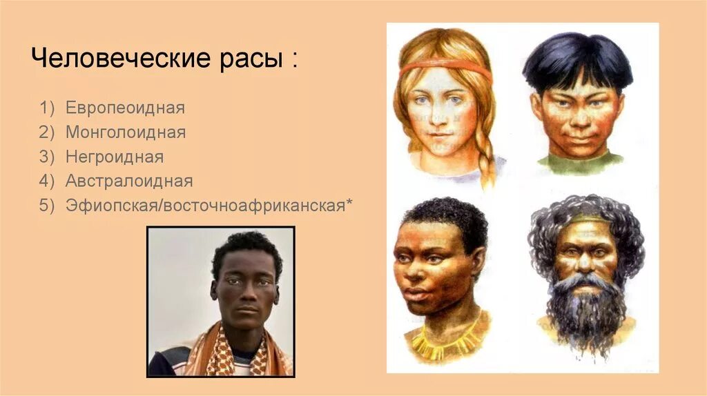 Презентация человеческие расы их родство и происхождение. Происхождение рас человека. Европеоидная монголоидная негроидная раса. Расы человека гипотез возникновение рас. Человеческие расы и их происхождение биология 9 класс.