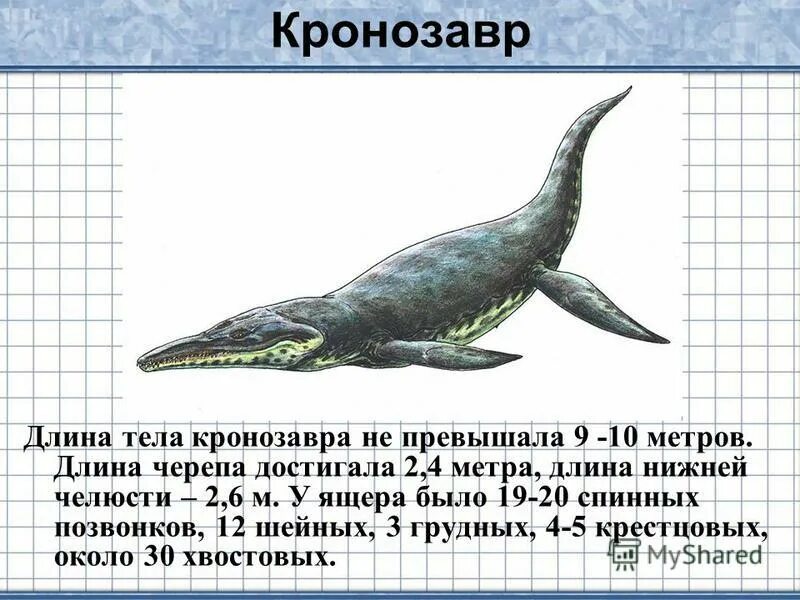 Длиной несколько метров
