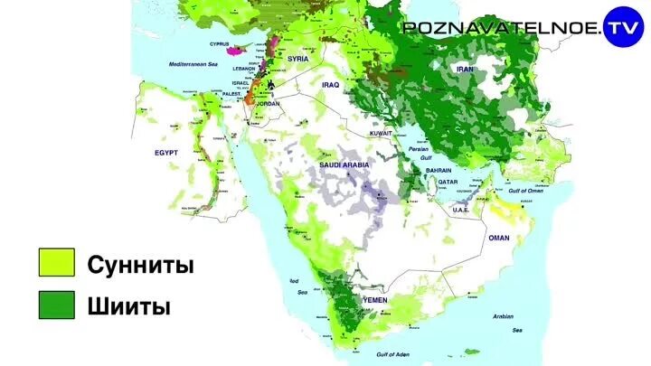 Сунниты и шииты. Сунниты на карте. Шииты карта. Карта суннитов и шиитов.