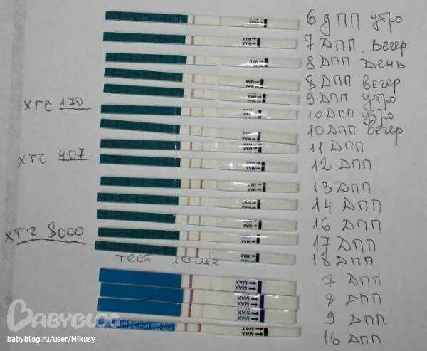 Беременность после отмены форум. Тесты после эко. Тесты после переноса. Тест на беременность после подсадки. Тест на беременность после эко.