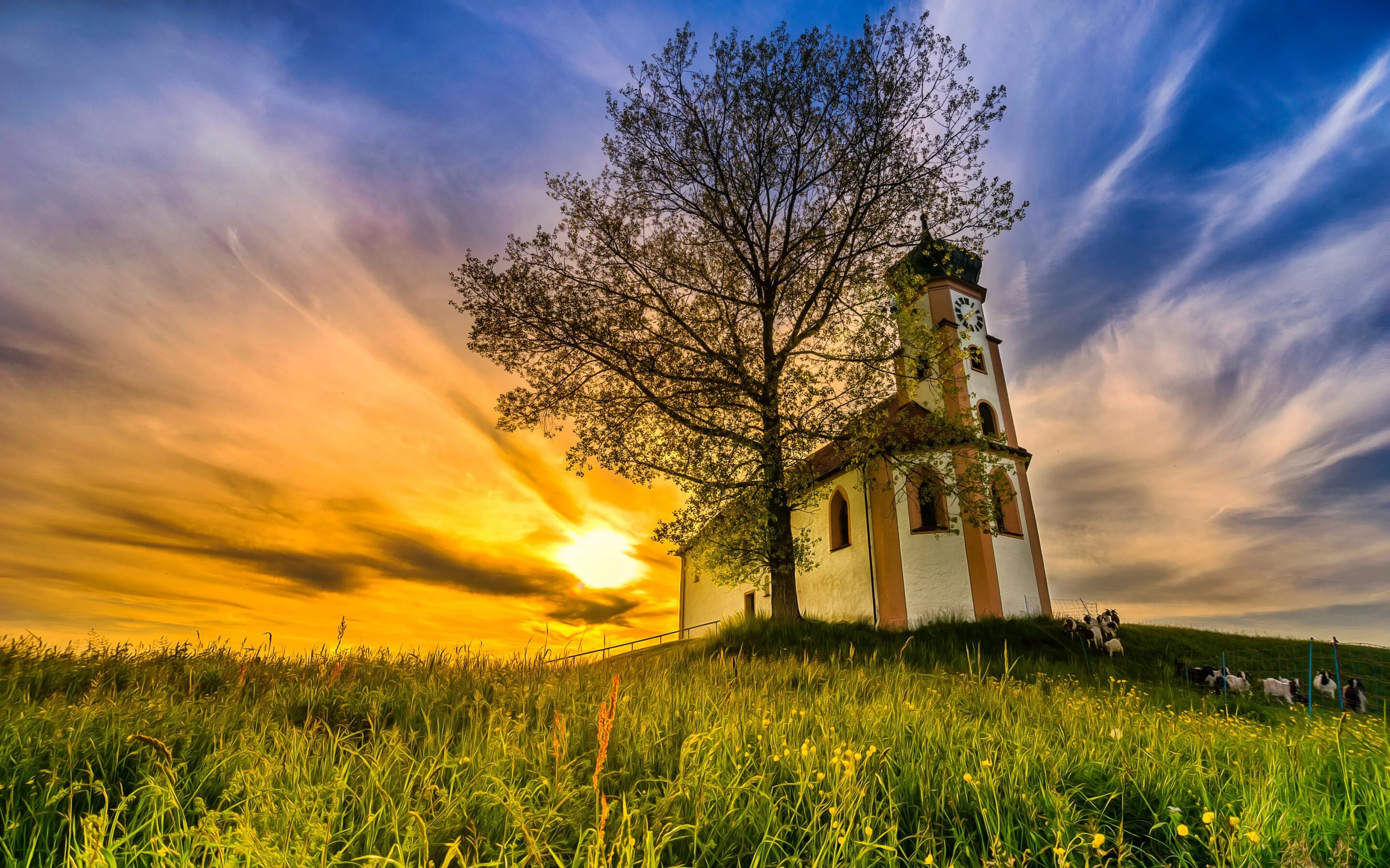 Fields church. Церковь в поле. Церквушка на холме. Деревенская церковь. Церковь в поле.