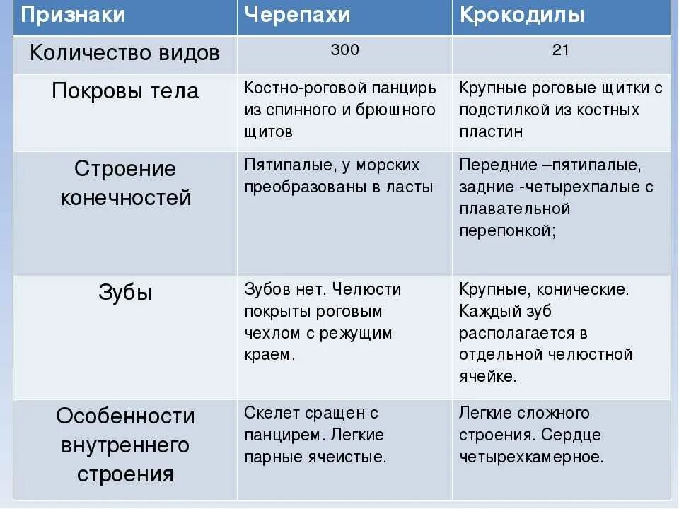 Рептилии характерные особенности. Класс пресмыкающиеся особенности покрова тела. Класс пресмыкающиеся особенности покрова тела. Роговой покров пресмыкающихся. Пресмыкающиеся характеристика.
