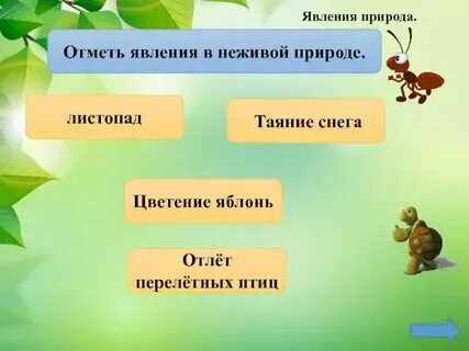 Явления неживой природы и живой 2 класс