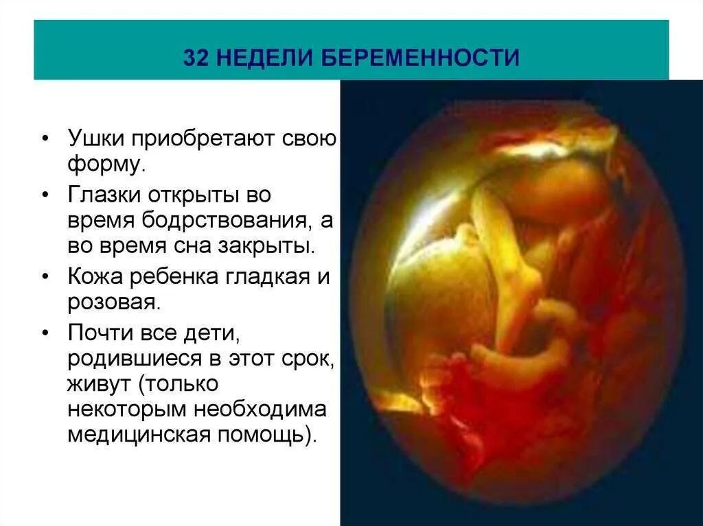 Малыш на 32 неделе беременности