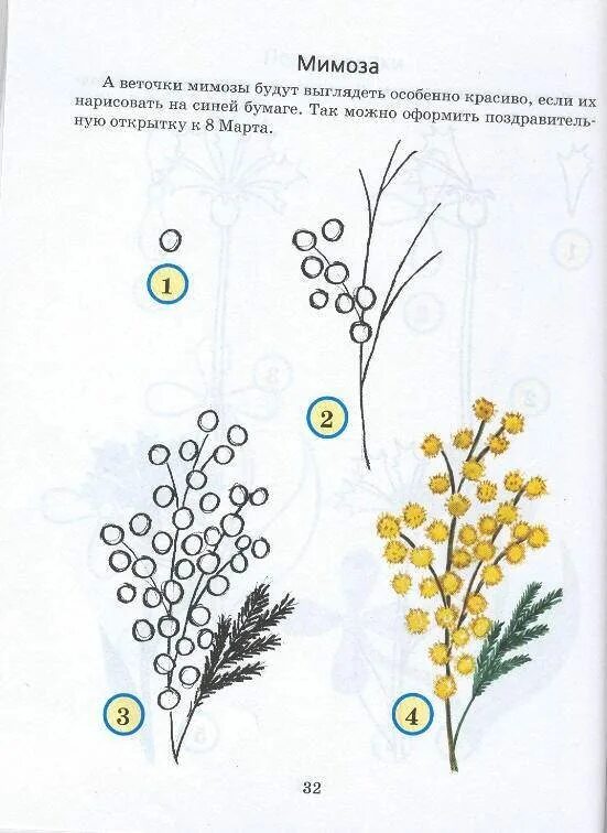 Как нарисовать веточку мимозы. Веточка мимозы рисование. Ветка мимозы рисование. Рисование с детьми веточка мимозы. Рисуем веточку мимозы.