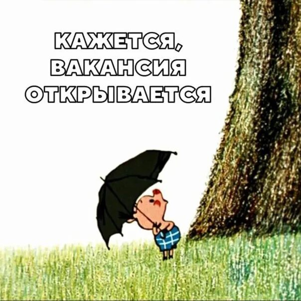 Пятачок кажется дождь. Винни пух кажется дождь собирается. Кажется дождь начинается. Пятачок с зонтом. Кажется дождь собирается.