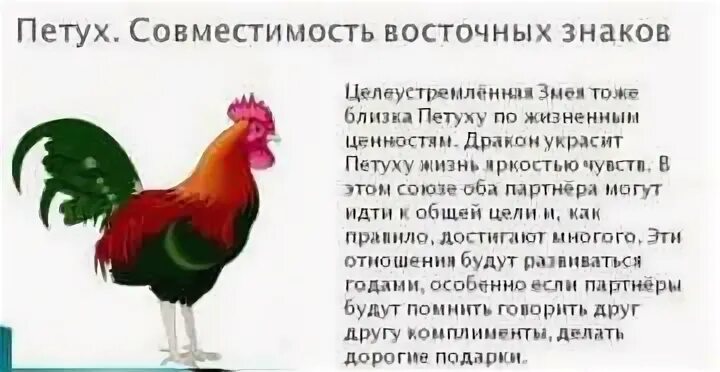 Мужчина петух женщина