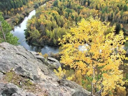 Медведь камень