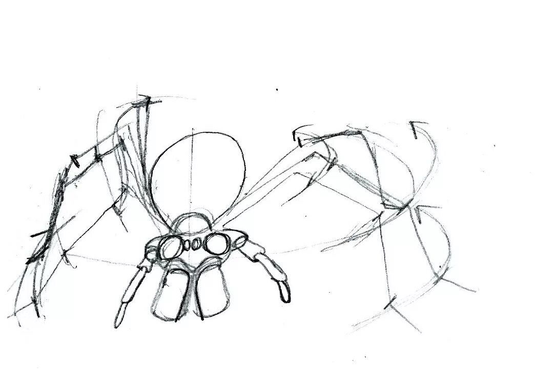 Паук карандашом легко. Паук ракурс сбоку. Паук эскиз. Паук рисунок. Эскизы пауков.