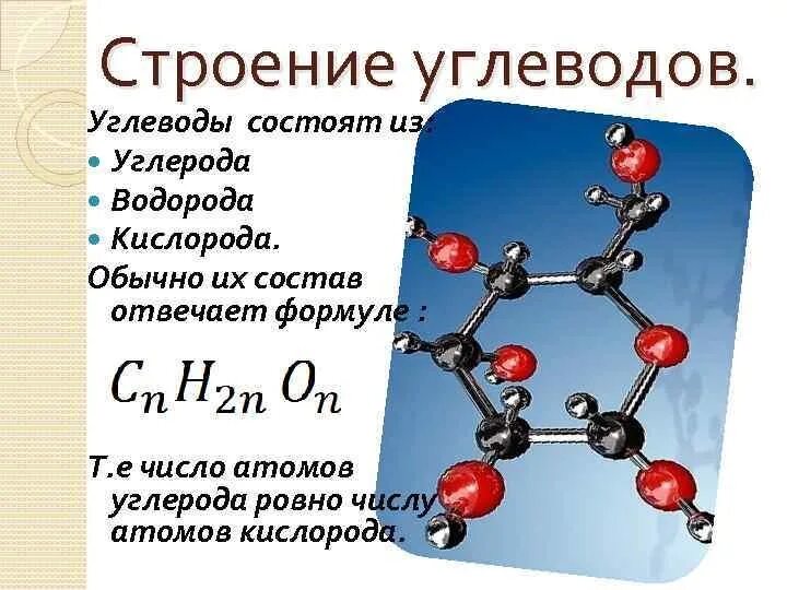 Строение молекул углеводов