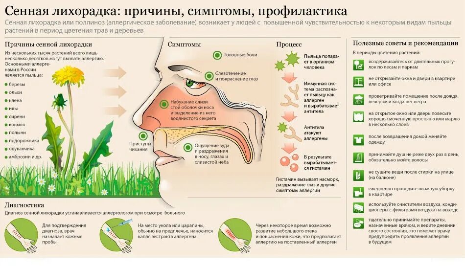 Пост при насморке. Сенная лихорадка поллиноз симптомы. Сенная лихорадка Тип аллергической. Аллергия на пыльцу. Сенная лихорадка причины.