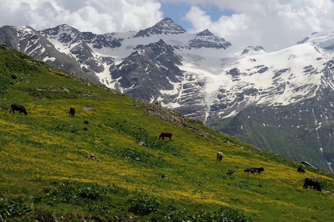 мусса-ачитара домбай. северный кавказ горы и хребты. донгуз орун чегет карабаши. северный кавказ горы и хребты. горы северного кавказа.
