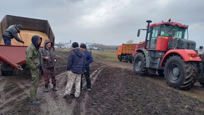 Погода на сегодня на партизанском. Колхоз красный Партизан Ибресинского района. Колхоз красный Партизан Ибресинского района трактора. Новочурашевское сельское поселение. Колхоз красный Партизан Ибресинского района трактор Кировец.