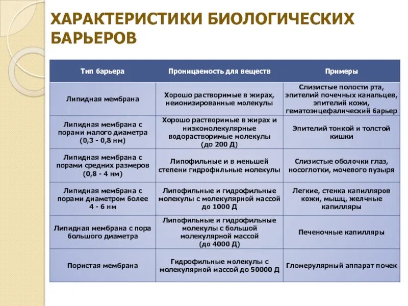Биологические барьеры и их проницаемость для лекарственных веществ. Тканевые барьеры фармакология. Основные биологические барьеры. Функции биологических барьеров. Биологические барьеры организма в фармакологии.