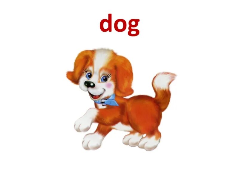 Изображение собаки для детей. Собака Гав Гав. Собака на английском языке. Щенок для детей в детском саду. Щенок какие звуки