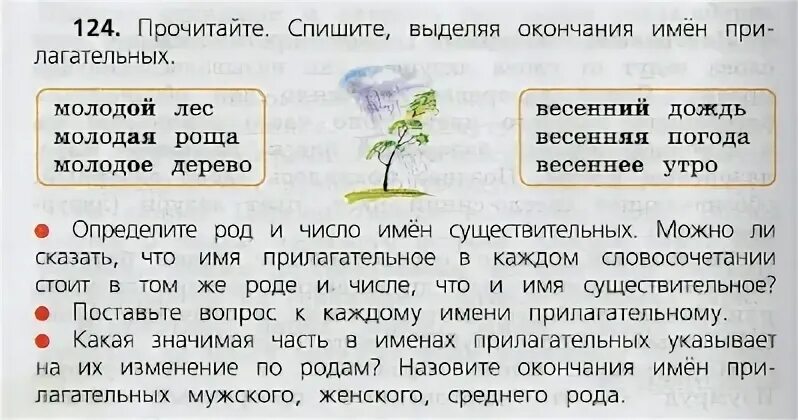 Спиши выдели окончания 3 класс. Распредели имена прилагательные по группам сила дуба. Сделай в тетради такую же таблицу распредели имена прилагательные. Возраст дуба прилагательные. Распредели имена прилагательные в 3 столбика по родам.