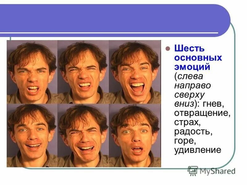 6 основных эмоций