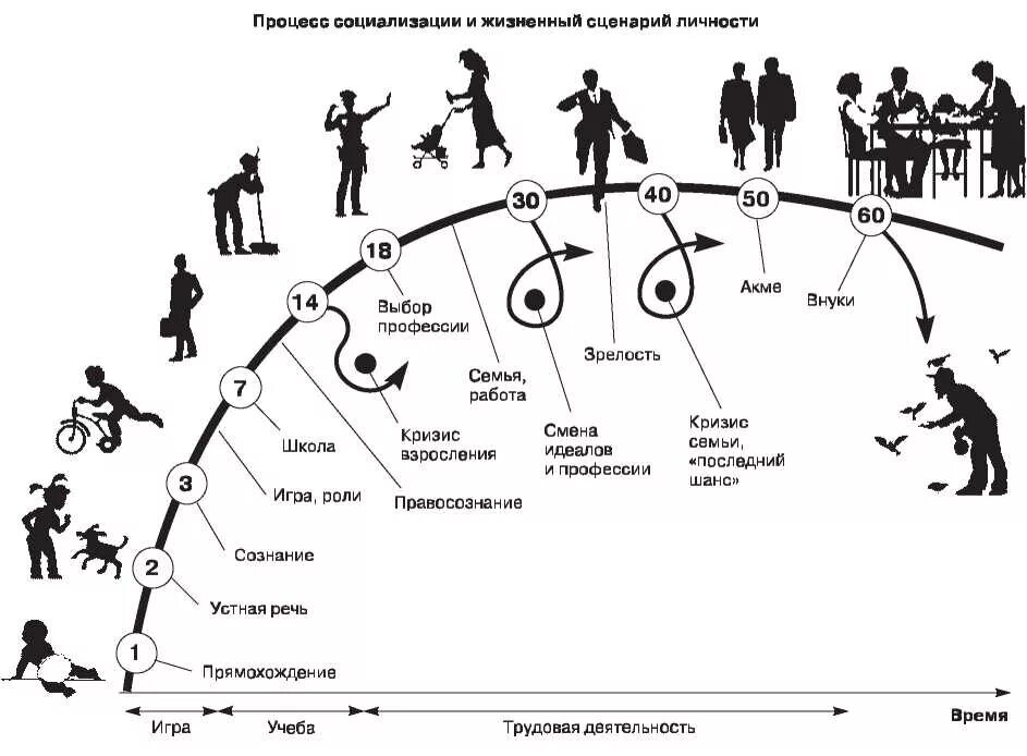 Схема процесса социализации личности. Процесс социализации и жизненный сценарий личности. Жизненный путь человека циклы развития. Жизненный сценарий личности. Этап жизни 6
