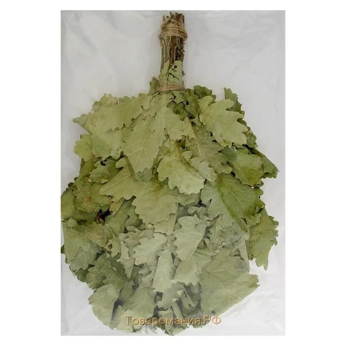 Заготовка веников для бани. Веник банный дуб с полынью. Веники для бани дубовые и березовые. Мята горная веник. Веник дубовый "царь веник".