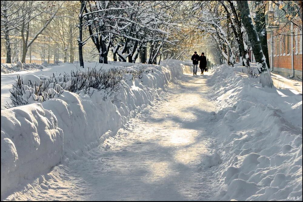 Погулять близко. Прогулка зимой. Прогулка в парке зимой. Фоторассказ о зимней прогулке. Прогулки на свежем воздухе зимой.