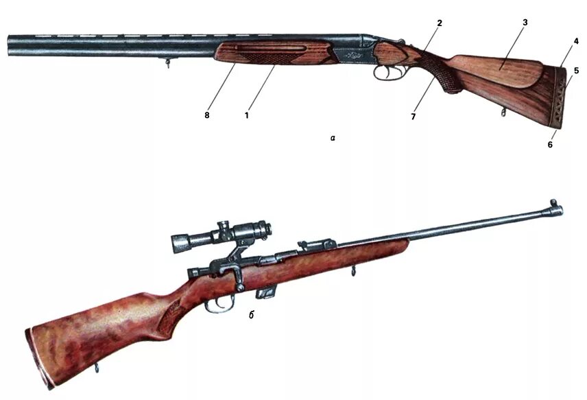 Как получить охотничье ружье. Шейка приклада ружья. Блюм Шишкин охотничье ружье. Приклады на охотничьи ружья. Ложе старинной винтовки.