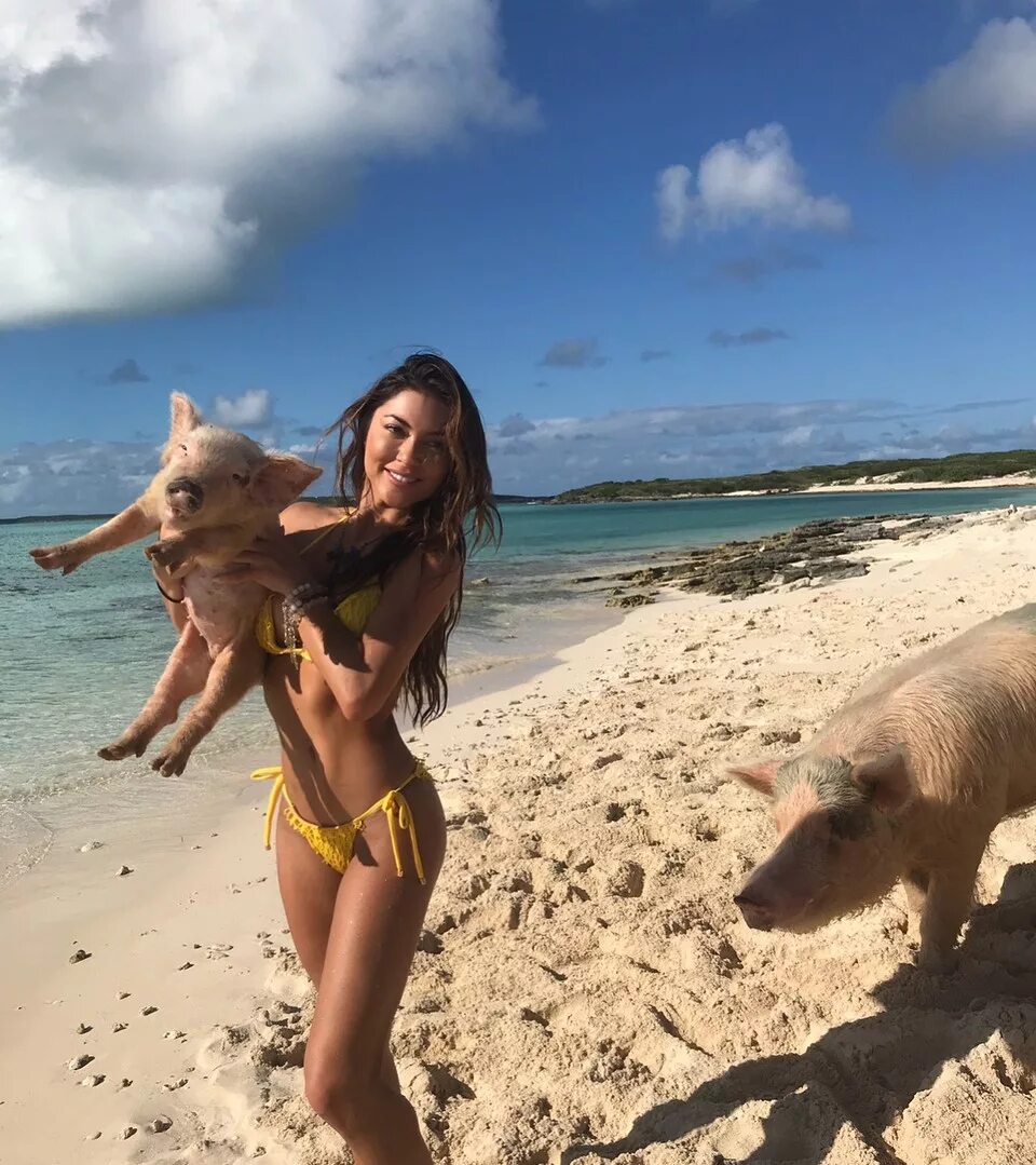 Инстаграмка. Багамские острова свинки. Остров свиней на Багамах. Свиньи на Багамах.