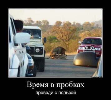 Время проведенное в пробках