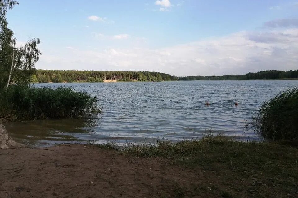 Где можно купаться в ярославле 2025