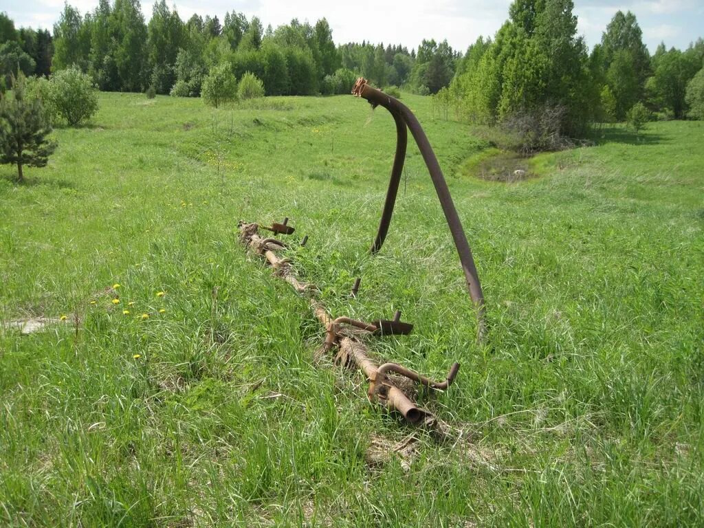 Погода село борки. Борок левак. Село Борки. Веренский Сосновый Борок. Село Железный Борок.