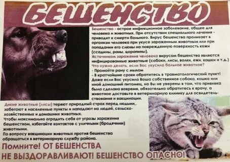 Осп бешенство