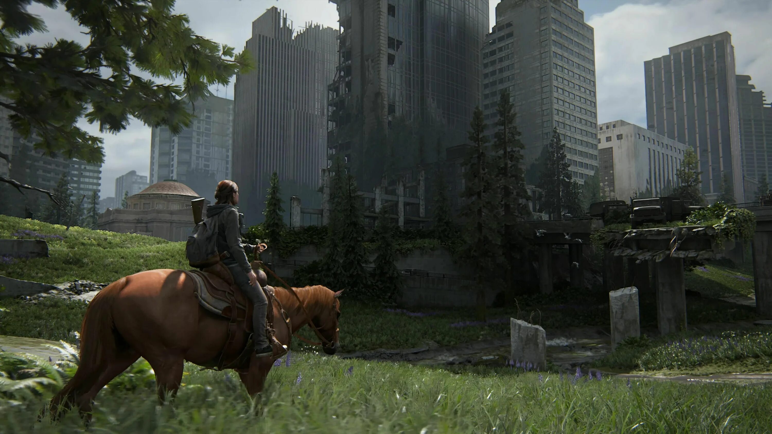 The last of us part2. The last of us. the last of us part 2 игра 2025.