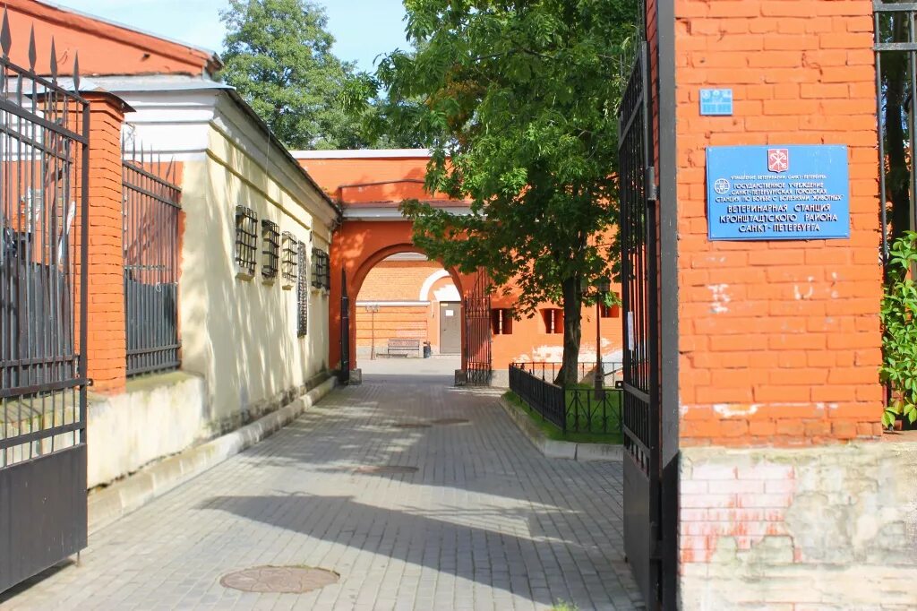 ветеринарная клиника в кронштадте на восстания. ветклиника кронштадт. ветклиника на ул шевченко. ветклиника максим перово. ветеринарный центр котельники.