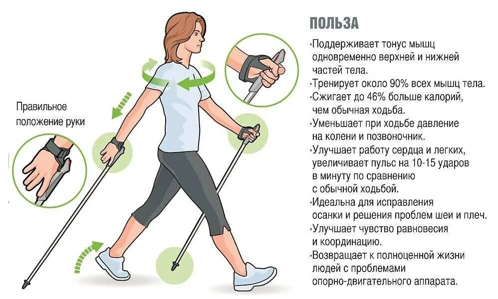 С точки зрения пользы для. Палки для скандинавской ходьбы. Скандинавская ходьба оздоровительный эффект. Техника ходьбы с палками. Правильная техника скандинавской ходьбы.