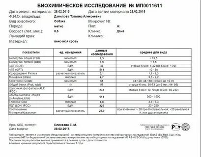 Анализ креатинин и мочевина как подготовиться