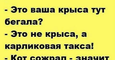 Человек крыса это