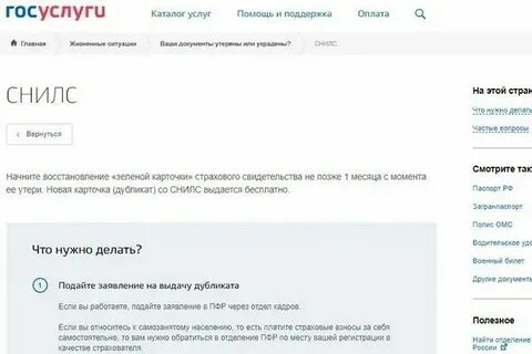 Как узнать кому принадлежит снилс по номеру