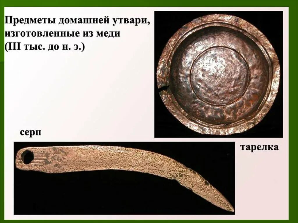 Чумолки что это такое