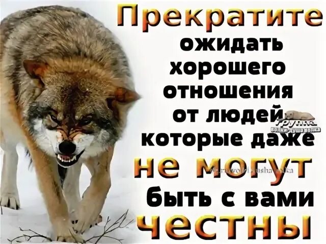 Хорошо буду ожидать