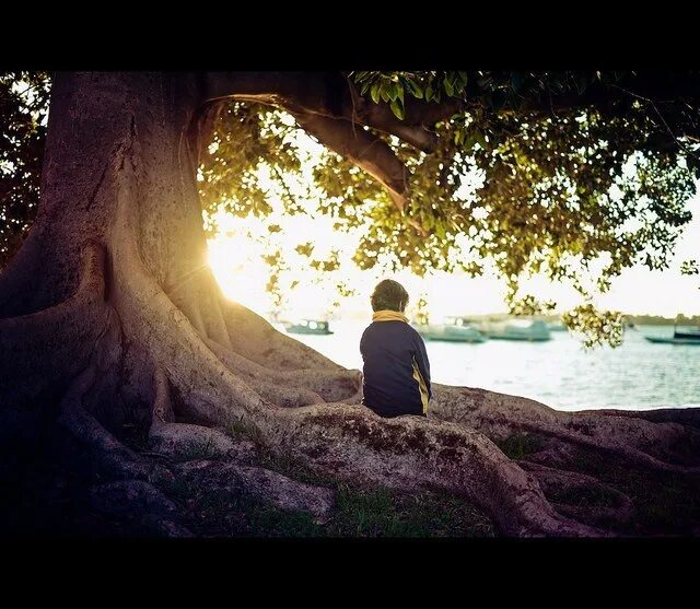 Человек под дубом. Сидит под деревом. Человек сидит под деревом. Мальчик сидит под деревом. Мальчик на дереве.