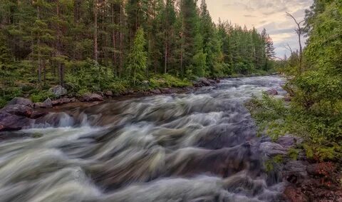 Река жизнь почему