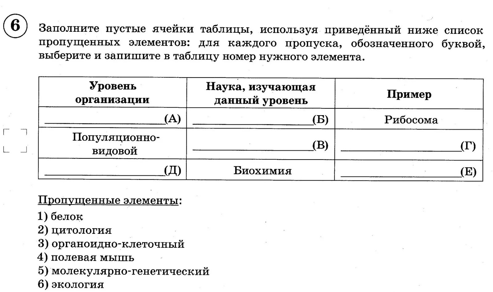 Функции каждого пропуска. Заполните пустые ячейки таблицы. Пустая таблица на 20 ячеек.