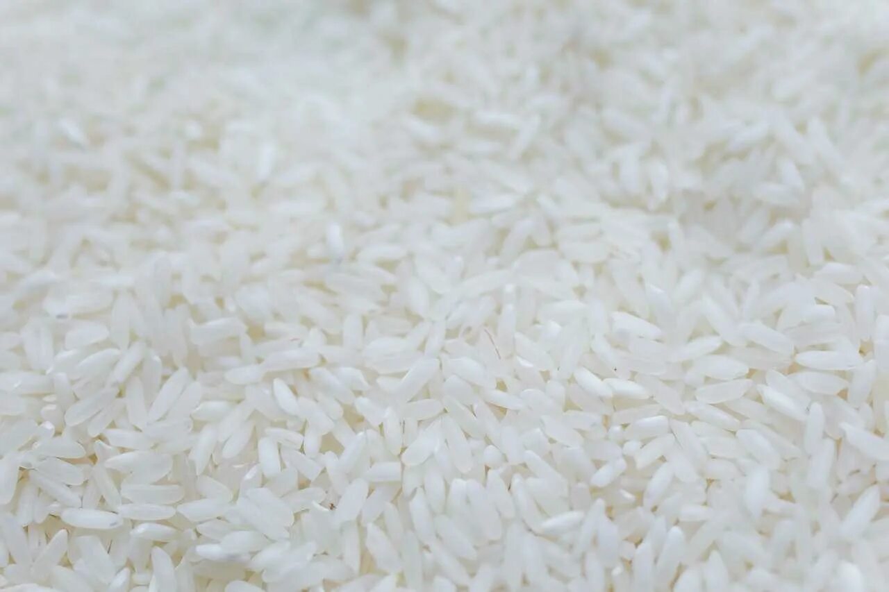White rice. Среднезерный рис. Рис Фатри. Рис Гиншари. Рис SAHONSAH.