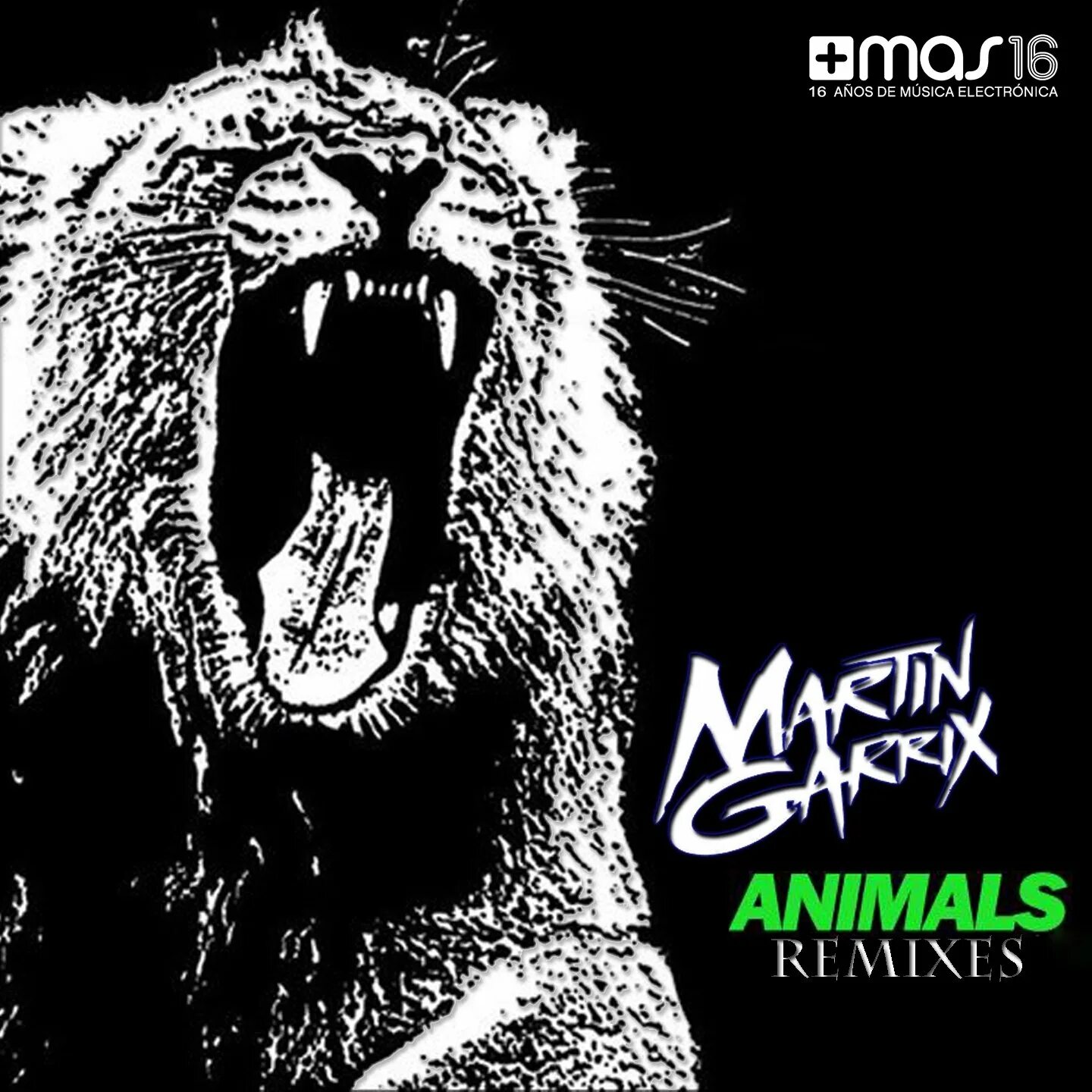 Martin Garrix animals. Martin Garrix animals обложка. Martin Garrix animals 2013.