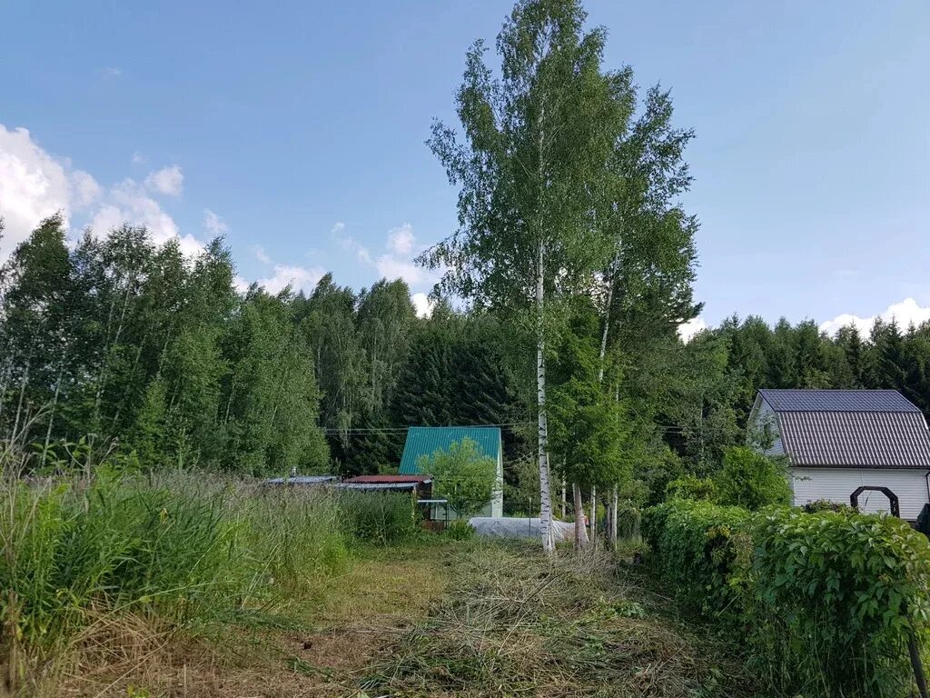 Погода в дмитровском районе в орудьево. СНТ Союз-2 Дмитровский район. СНТ НИИТП Орудьево Дмитровский район. Орудьево платина Дмитровский район. СНТ Союз Дмитровский район.