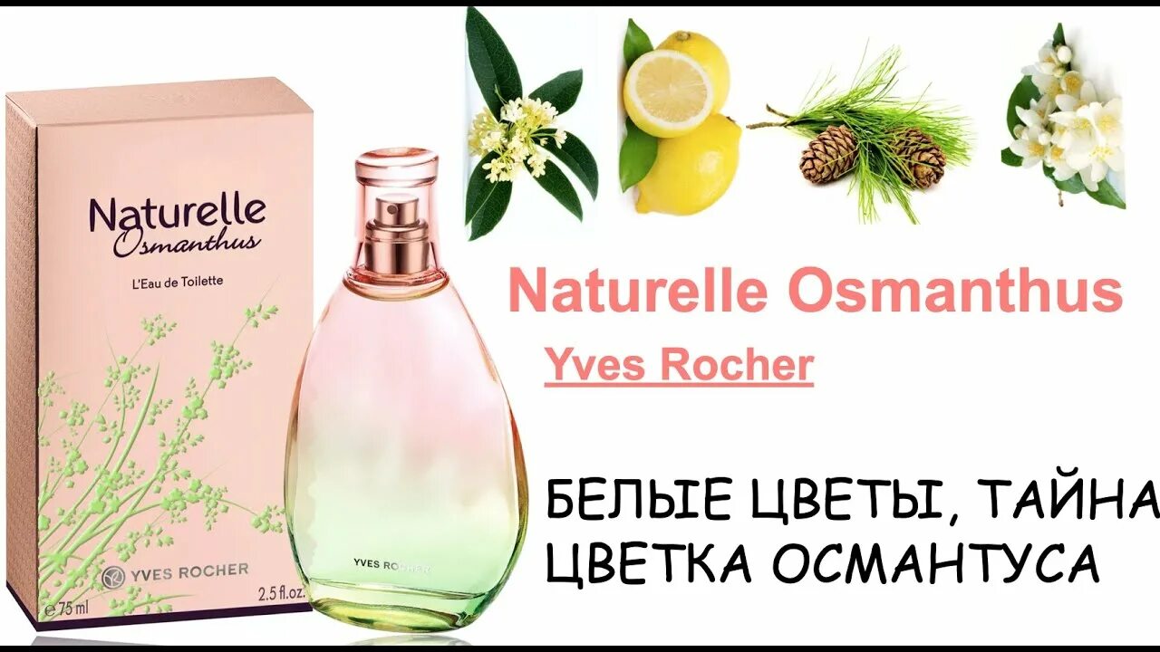 Роше туалетная вода Натюрель. Туалетная вода naturelle Osmanthus. Духи османтус Ив Роше. Туалетная вода Ив Роше женская Натюрель. Yves rocher naturelle