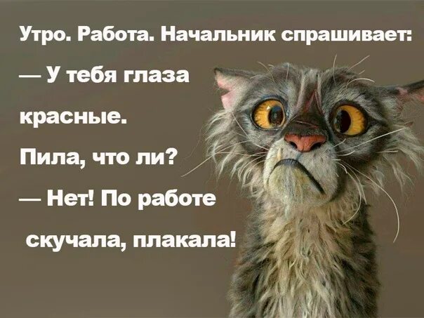 Работа шла быстро и весело всю ночь. Доброе утро работа. Утро на работе. Утром на любимую работу. Утром на работу приколы.