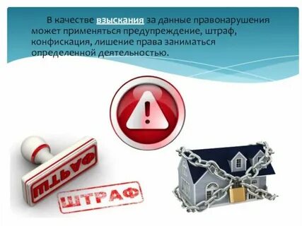 Какие правонарушения может вынести