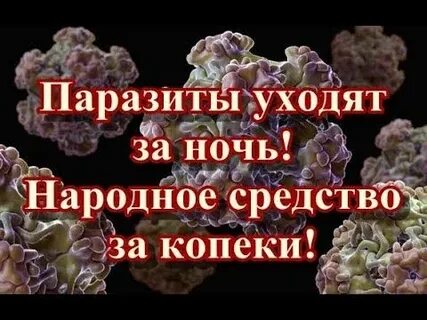 Народные средства от паразитов в организме